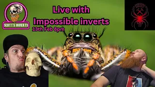 Live with impossible inverts , #livestream