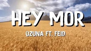 Ozuna Ft. Feid - Hey Mor (Letra) | mix by Petra Marks Lyrics