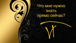 Что мне нужно знать прямо сейчас?  4 короля/4 королевы #vina_taro