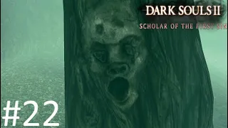 ТЕМНОЛЕСЬЕ【Dark Souls II Scholar of the First Sin】#22