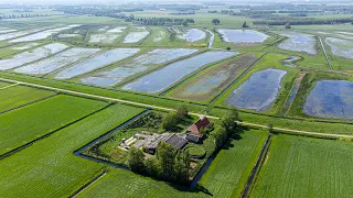 Het is wéér gelukt … 🌳🐓 Janssen Stichting 6 Nij Beets