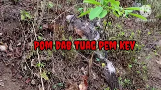 xob Pom Dab tuag pem kev - Scary Story