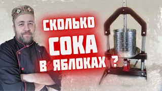 Сколько СОКа в килограмме ЯБЛОК ? Яблочный сок в зиму Пресс Добрыня от компании Домашний Заготовщик