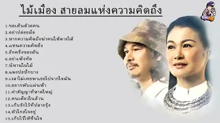 รวมเพลง ไม้เมือง สายลมแห่งความคิดถึง เพลงลูกทุ่งใหม่ล่าสุด ฟังเพลงแห่งทศวรรษ