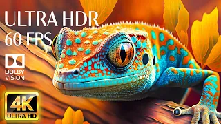 4K HDR 60fps Dolby Vision with Animal Sounds & Calming Music (Colorful Dynamic) #41