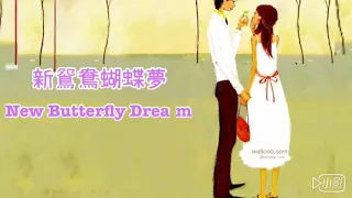 New Butterfly Dream：新鴛鴦蝴蝶夢英文版