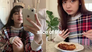 Slice of Life: Waking up at 6:00 AM for College/University, What I Eat, Grocery Shopping, Study Vlog