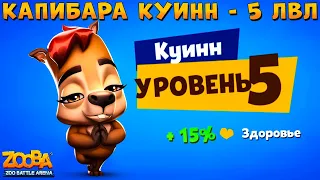 КАЧАЕМ КАПИБАРУ КУИНН НА 5 УРОВЕНЬ В ИГРЕ ZOOBA