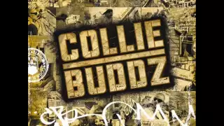 Collie Buddz - [ Collie Buddz ] Blind To You  HQ