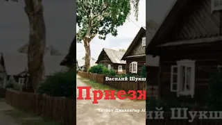 Приезжий #василийшукшин #удивительныеистории #слушатьрассказы #джахангирабдуллаев