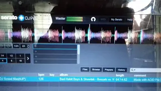 Serato Dj Pro Problem with Graphics Audio Laggy Waveform