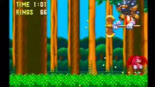 Sonic 3 & Knuckles - Knuckles speed run in 24:58 game time (Outdated)