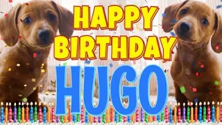 Happy Birthday Hugo! ( Funny Talking Dogs ) What Is Free On My Birthday