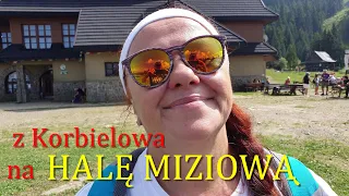 Hala Miziowa z Korbielowa - żółty szlak - Pilsko