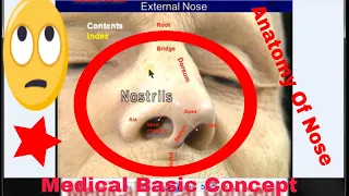 Anatomy Of Nose ( Urdu/Hindi)