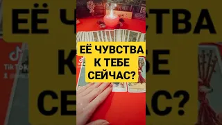 ЕЁ ЧУВСТВА К ТЕБЕ СЕЙЧАС? ТАРО ДЛЯ МУЖЧИН