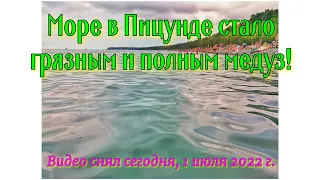Море в Пицунде стало грязным и полным медуз! Видео снял сегодня, 1 июля 2022 г.