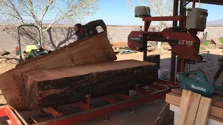 Maxing out the Wood-Mizer LT15 Wide Sawmill on Big Douglas Fir -1