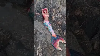 Real Mermaid found on a local beach 🤯 JK 😚 #shorts #mermaid