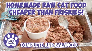 Homemade Raw Cat Food Recipe That's Cheaper Than Friskies! S6 E3 Complete Balanced Raw Cat Food