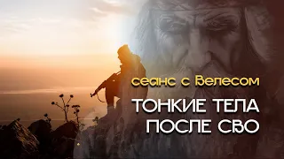 Тонкие тела после СВО. Сеанс с Велесом.