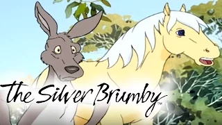 The Silver Brumby | Episodes 21-25 2 HOUR COMPILATION (HD - Full Episode)