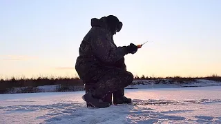 Научил дед рыбак. Гениальный способ пьяной-трезвой проводки провоцирует на атаку даже вялого окуня.