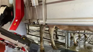 Lely Astronaut A5 | Coopon Carse Farm