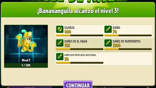 Torneo de la banananguila #1