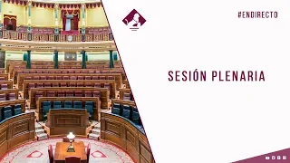 Sesión Plenaria (21/07/2020)