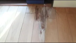 Repair water damage on wood floor - Easy beginner do it yourself improvement