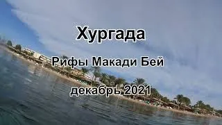 Подводный мир бухты Макади - декабрь 2021