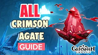 How to: GET ALL CRIMSON AGATE COMPLETE GUIDE | Genshin Impact