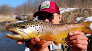 FLY FISHING DRIFTLESS REGION | WE FOUND THE POOL BOSS | Iowa Trout Fishing (Wild Trout on the Fly)