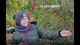 10 Sekunden-Barsch