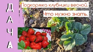 Клубника весной. Эффективная ПОДКОРМКА КЛУБНИКИ.