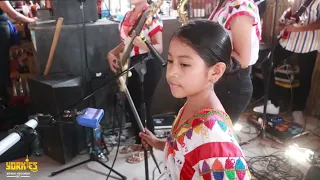 Los Yorkles | La Burrita | en vivo Puerto Vicente Guerrero