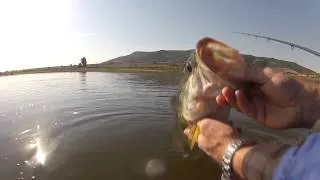Bass Fishing Action from Floattubes.co.za