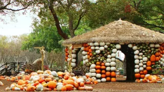 The Four Seasons at the Dallas Arboretum