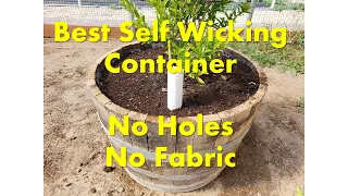 Best Self Wicking Container 2021 - No Holes, No Fabric