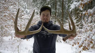 The First Big Set of the Year! Pennsylvania public land shed hunting! #hunting #sheds #antlers