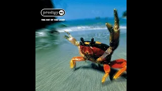 The Prodigy - The Fat Of The Land - DJ Mashup