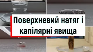 Поверхневий натяг і капілярні явища