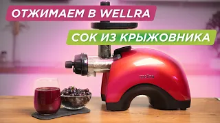 Шнековая соковыжималка для ягод | Красный крыжовник