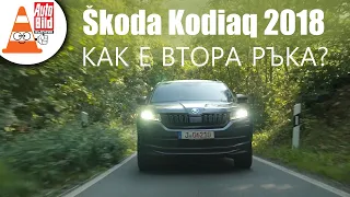 Skoda Kodiaq на старо: разумен избор?