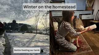 A Winter weekend on the farm