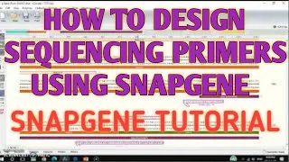 Design primers for sequencing