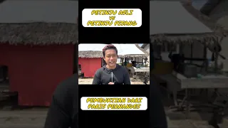 Viral.. paris pernandes vs petinju asli