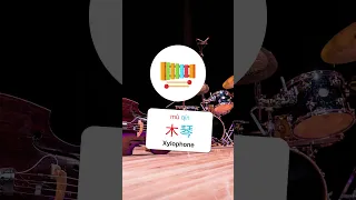 10 Musical Instruments 乐器[ flashcards set 1]  #chinesevocabulary #learnchineses  #beginnerschinese