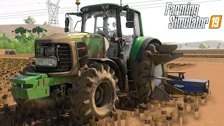 PASSANDO A ROTATIVA NOS CAMPO DE ARROZ || MAPA SUL DO BRASIL || FARMING SIMULATOR 19 || #160 G29